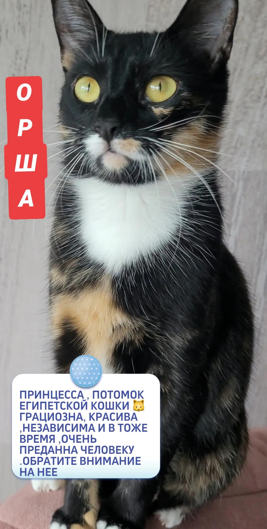 @marinka20_09