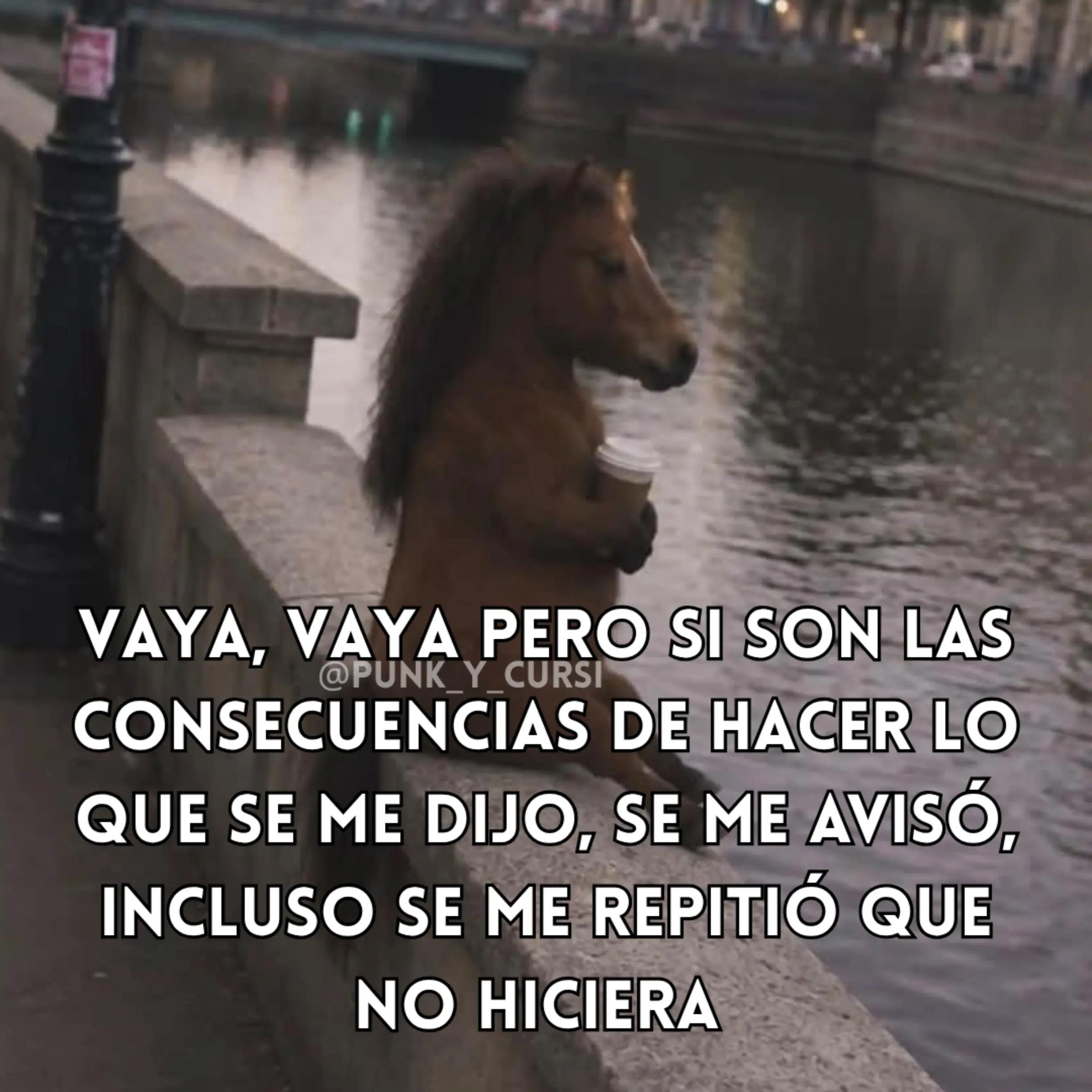 @SAMO