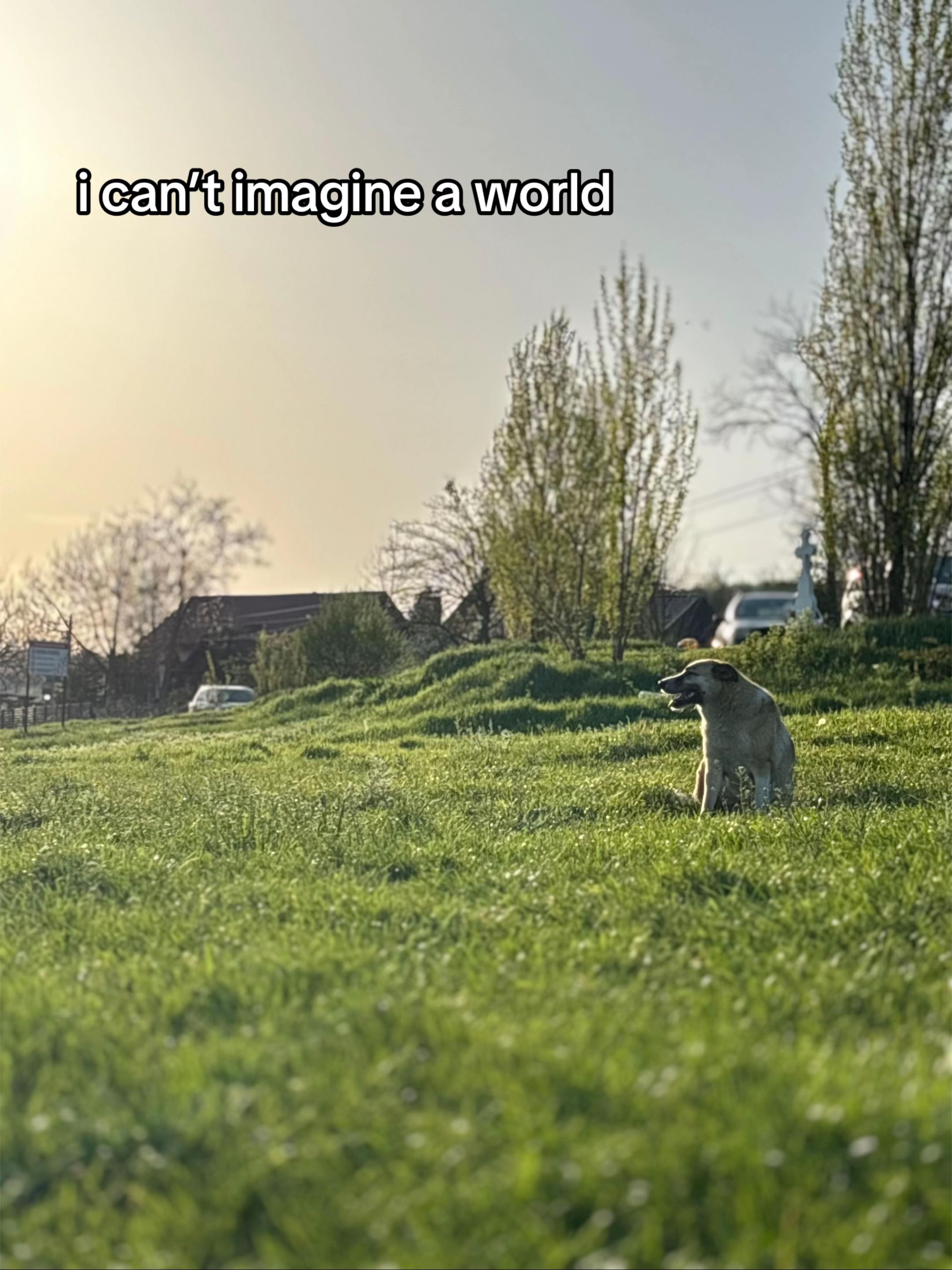 @𝘣𝘪𝘭𝘭𝘪𝘦𝘪𝘭𝘪𝘴𝘩𝘷𝘧𝘹&trade;