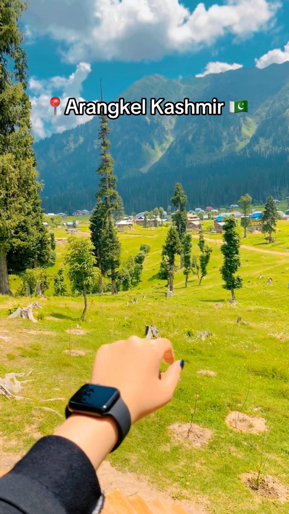 @teawithher_&trade;️