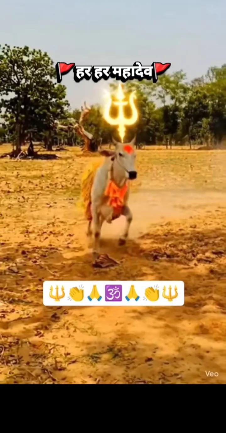 @/// PANCHDEV /// YADAV ///