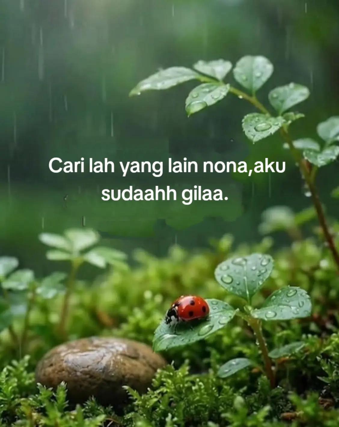 @NaNstory🥀