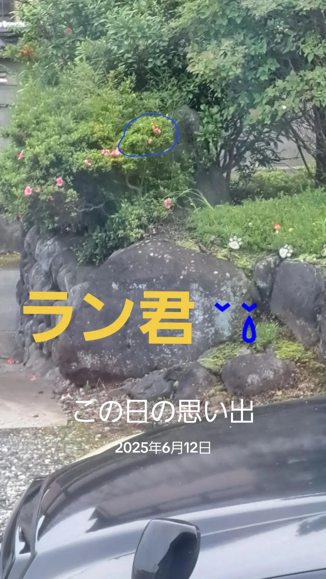 @ふじみ