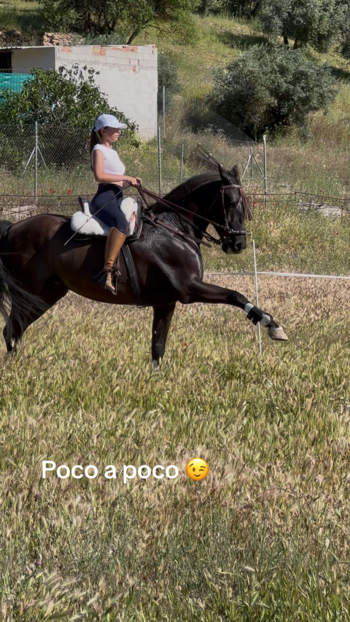 @Sandra Molina🐎🇪🇸