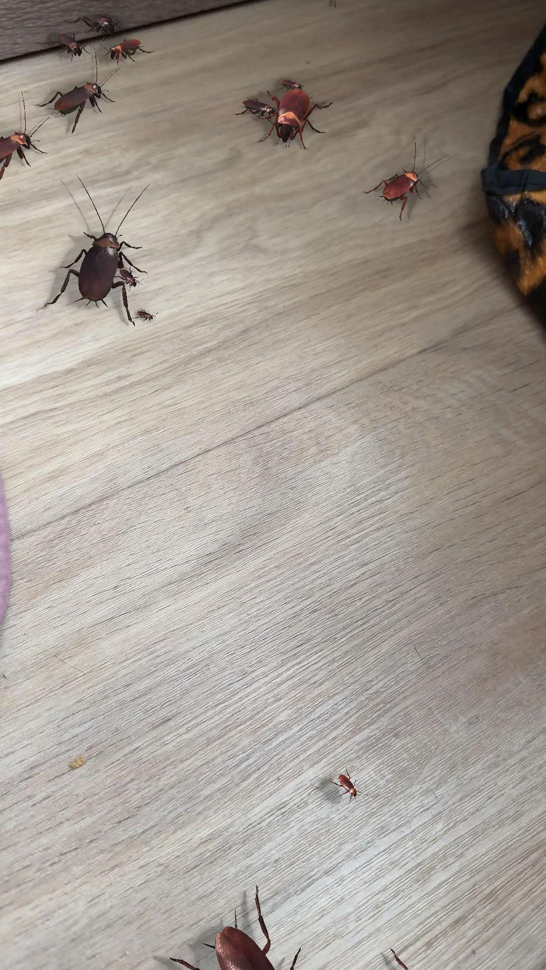 @Poliak Yulia