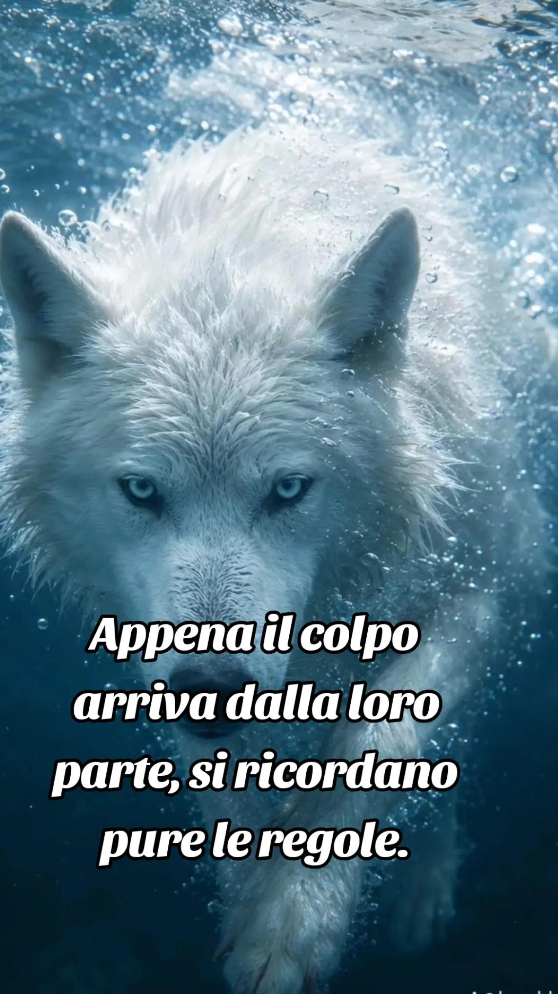 @๐บ๐ฝCrazy Wolf.
