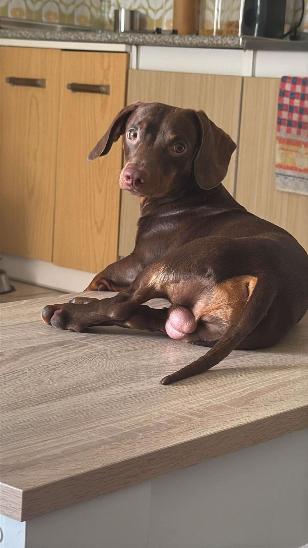 @𝐀𝐑𝐈𝐀𝐃𝐍𝐀