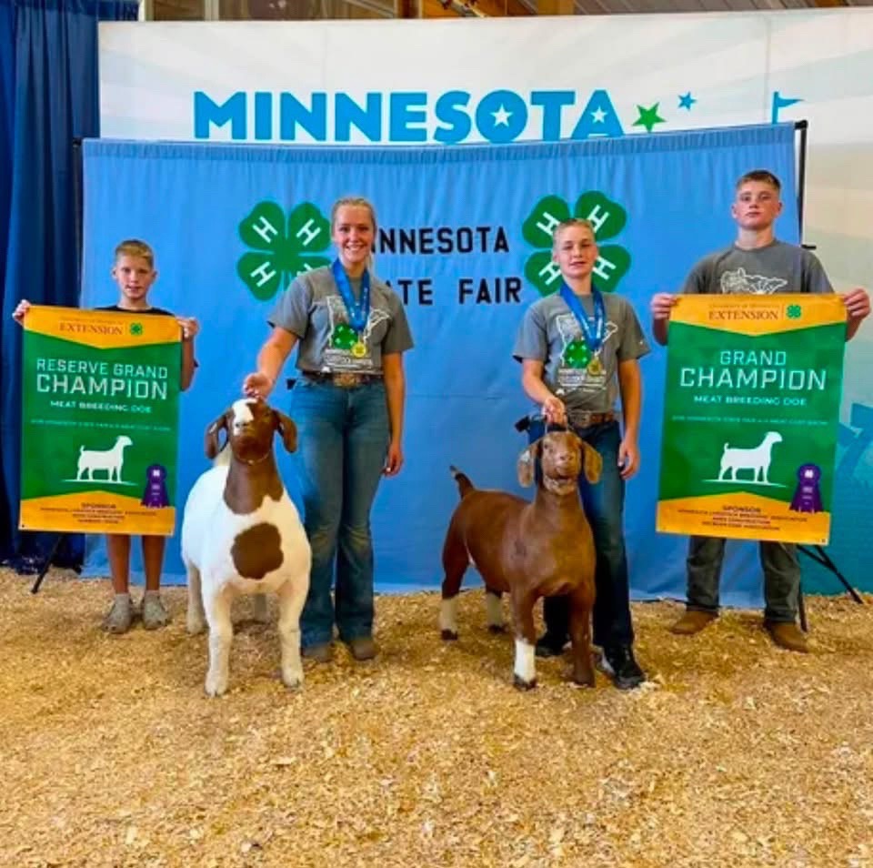 @Matt Lautner Cattle USA