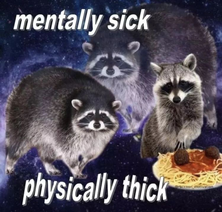 @🍂 🐈&zwj;⬛ 𝔼 𝔻 𝔼 ℕ 🐈&zwj;⬛ 🍂