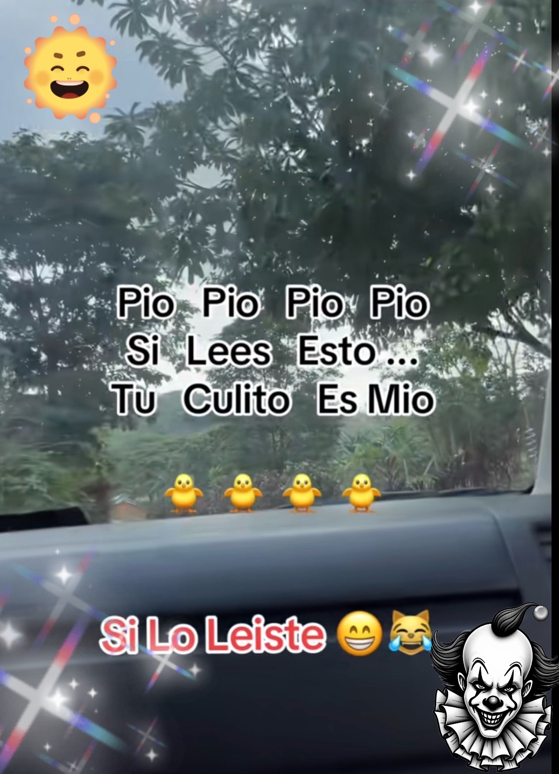 @rosaleswerita5