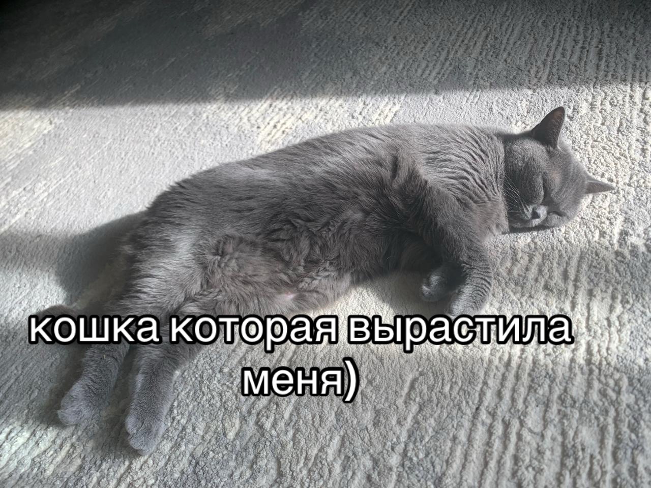 @LIA