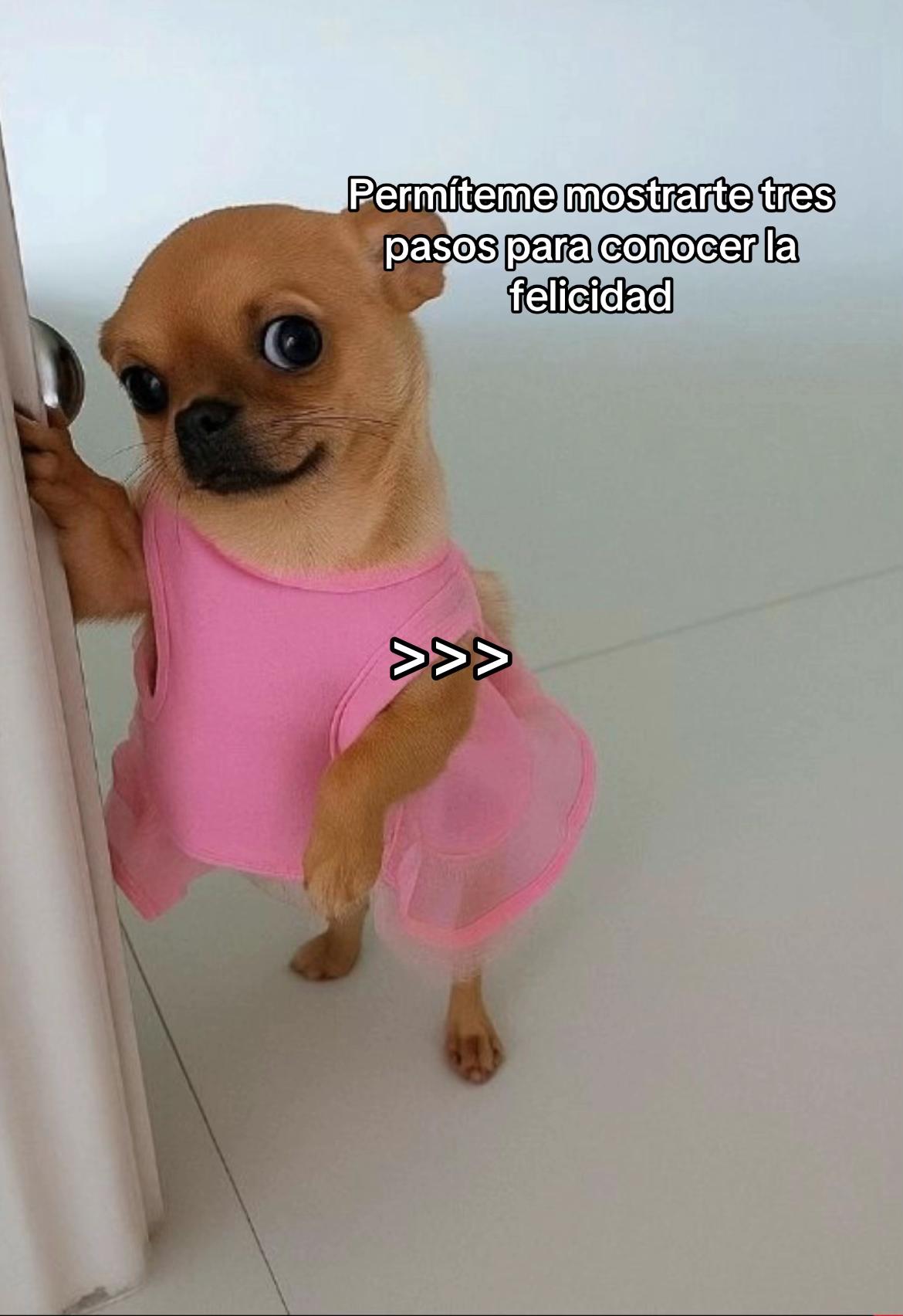 @C 🌸