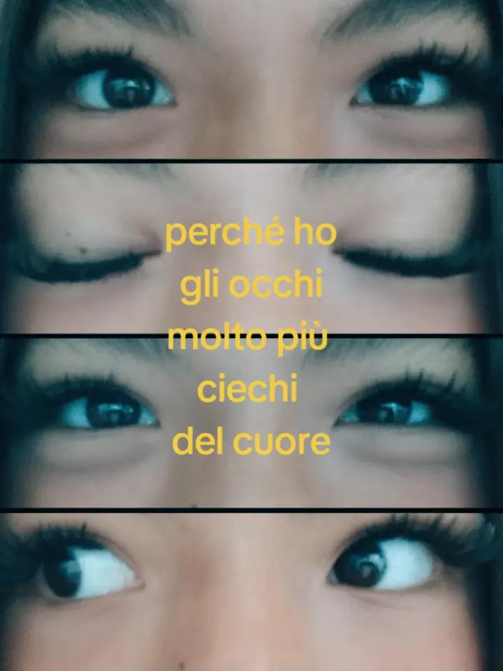 @๐๐ถ๐๐พ๐๐นโฏ๐