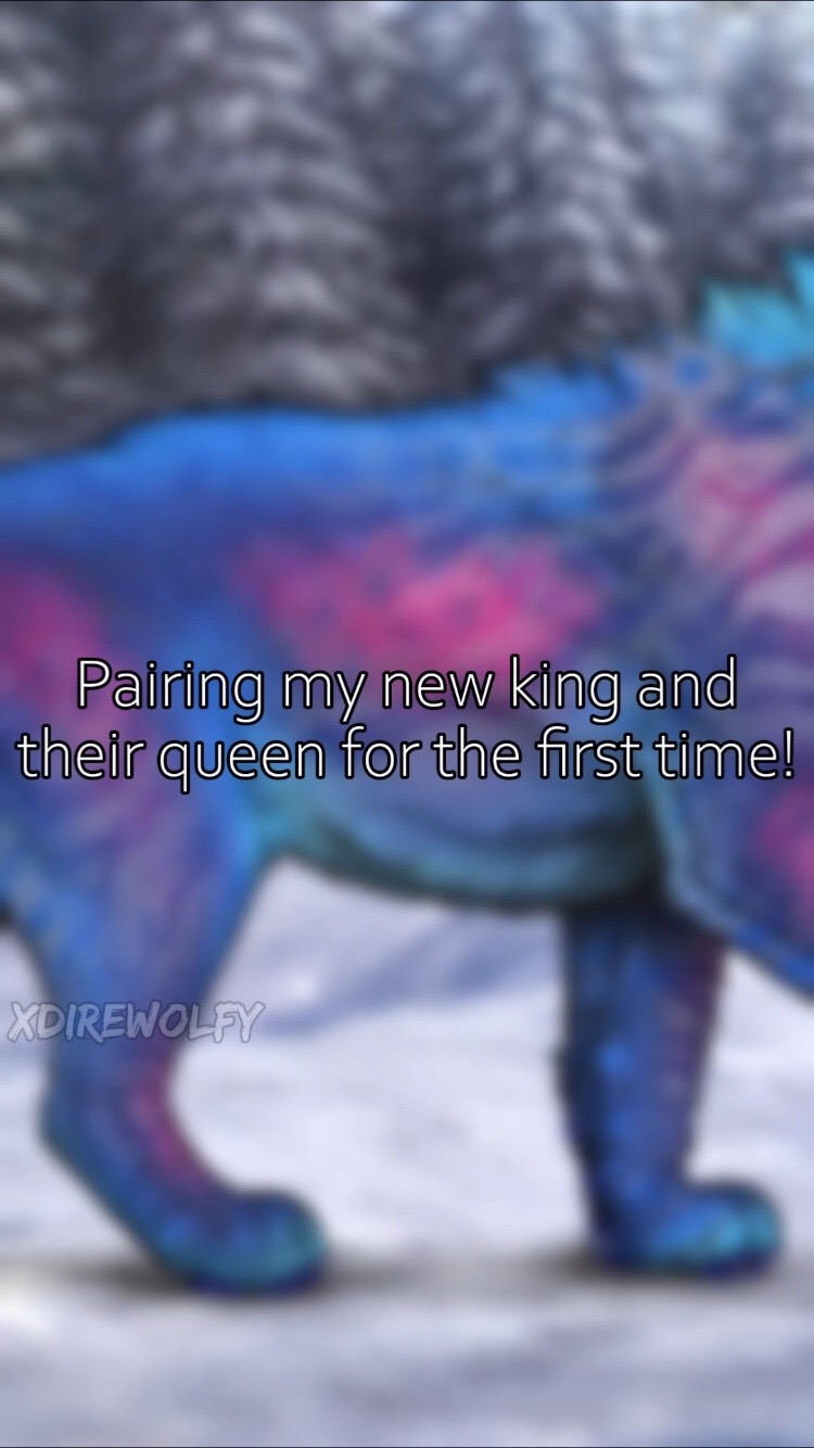 @xDirewolfy