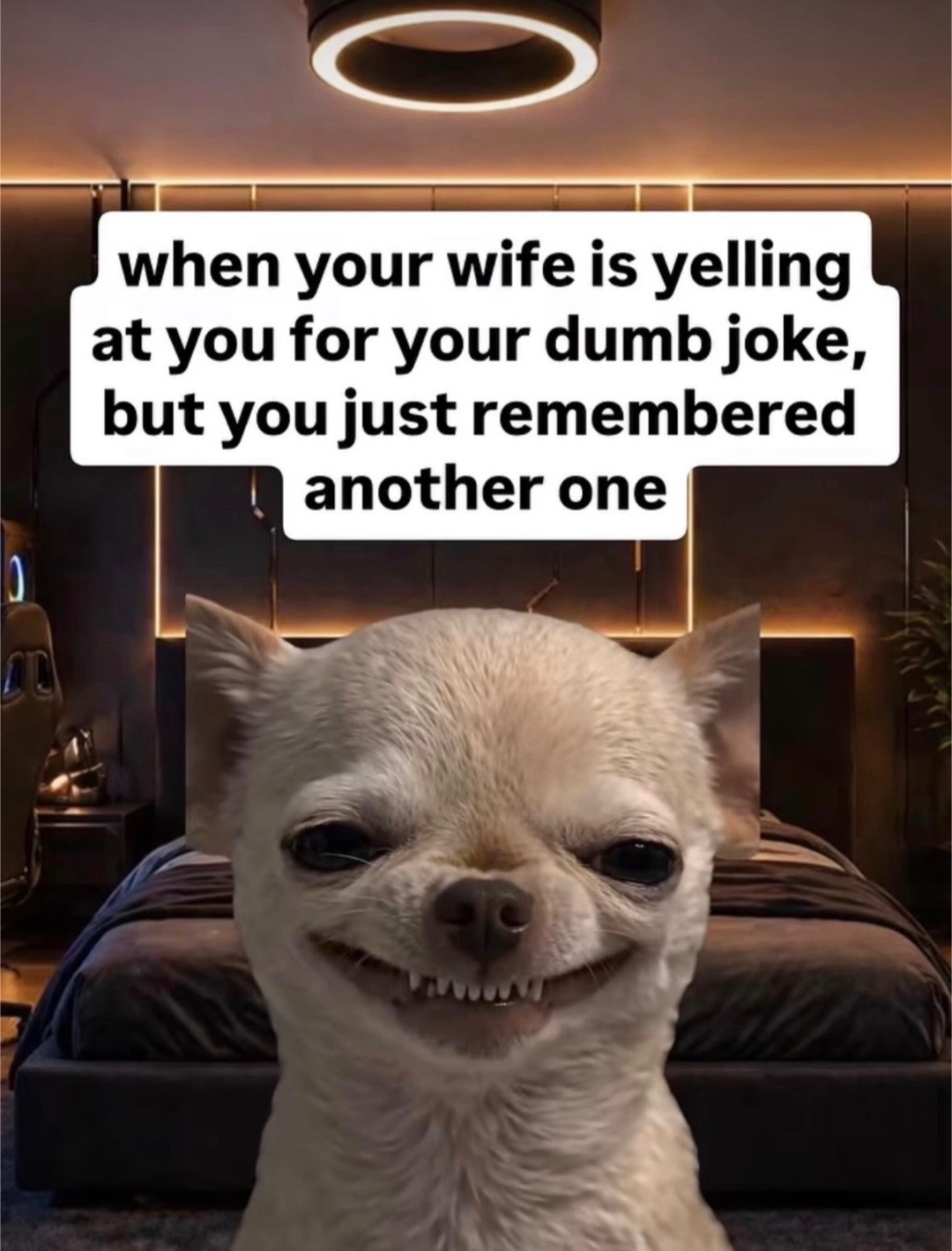 @mysteryladysmile1