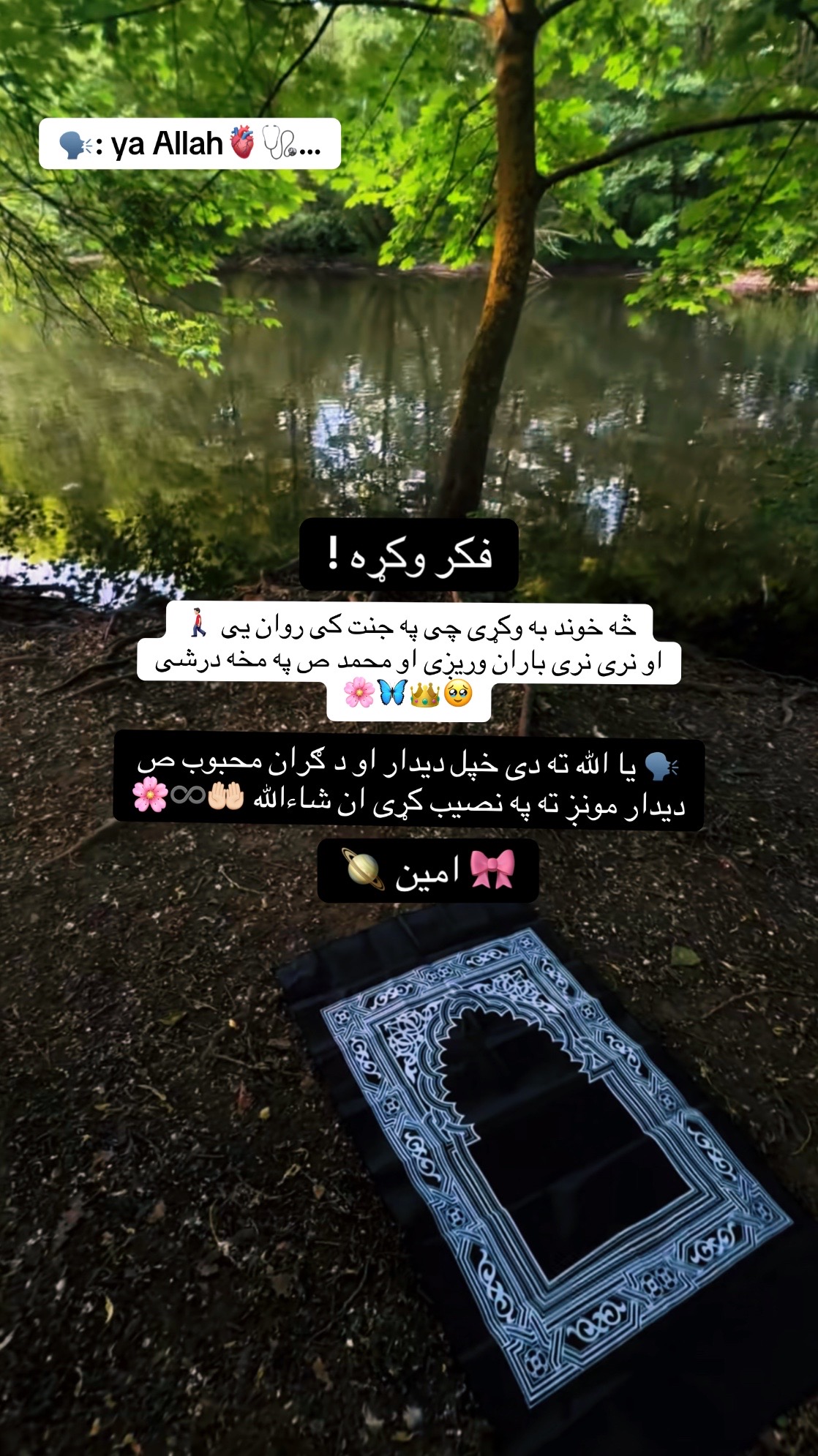@👑🩺~Jannat~🤍🦋🇺🇸