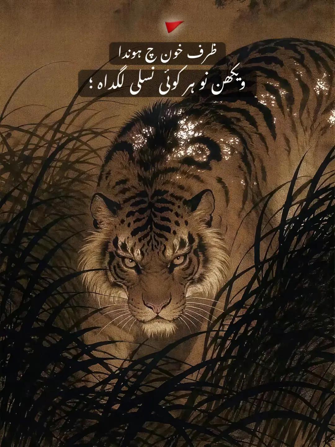 @👑RAJPOOT🦅🔥💀