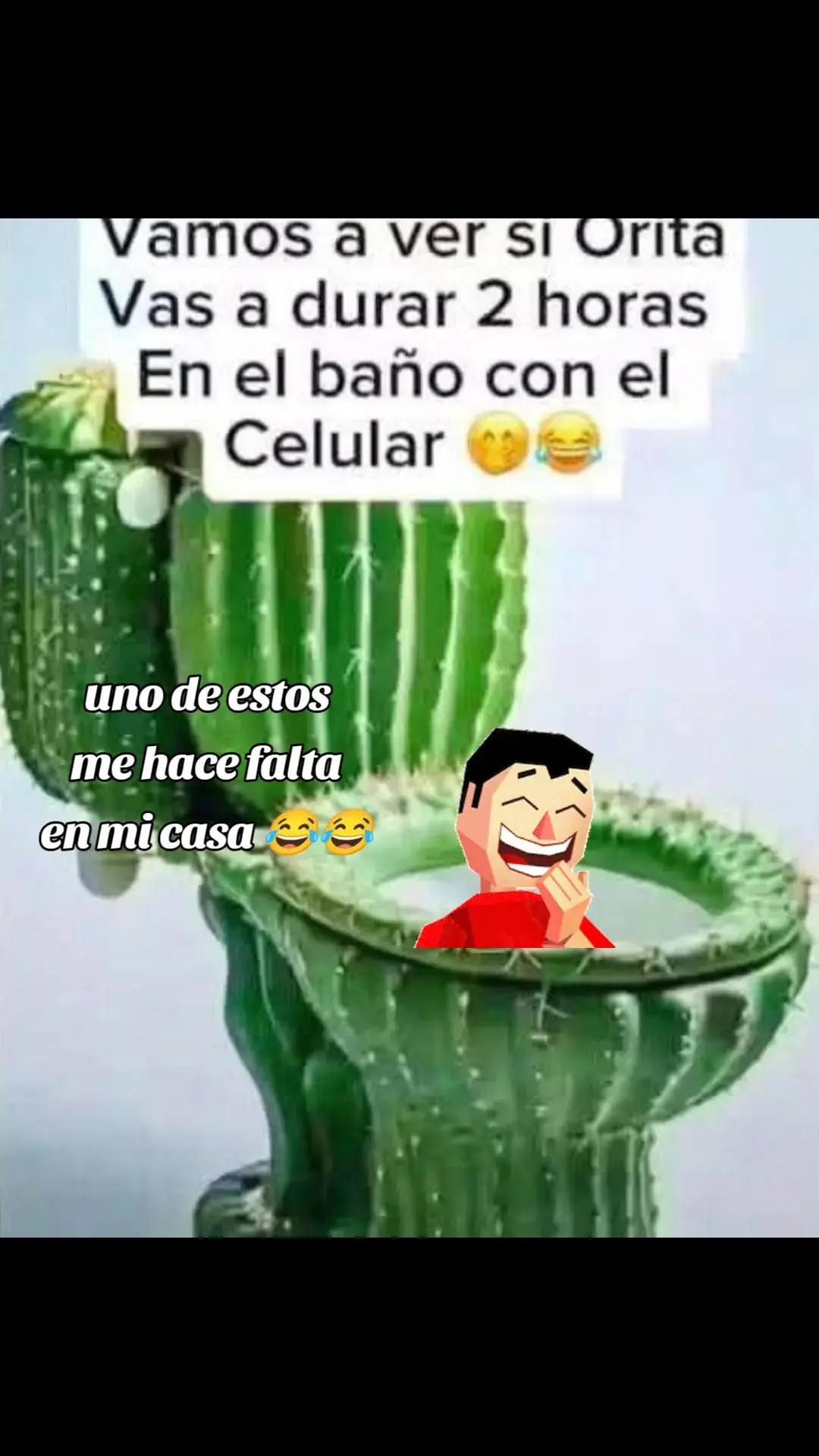 @Pincheloca🤗