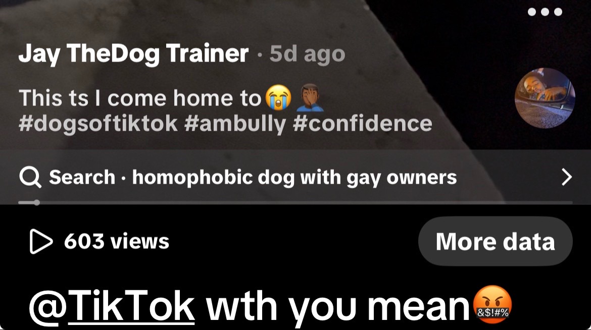 @Jay TheDog Trainer