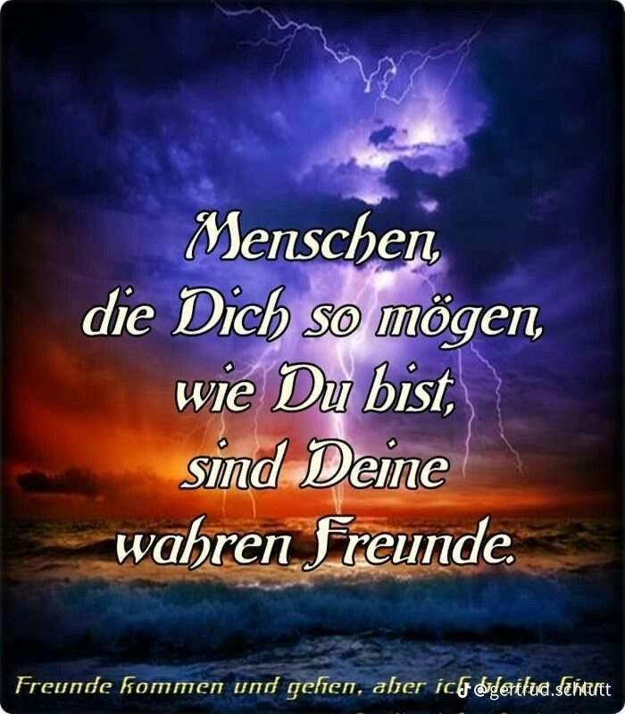 @🌸 Andani 😺🦋🌸