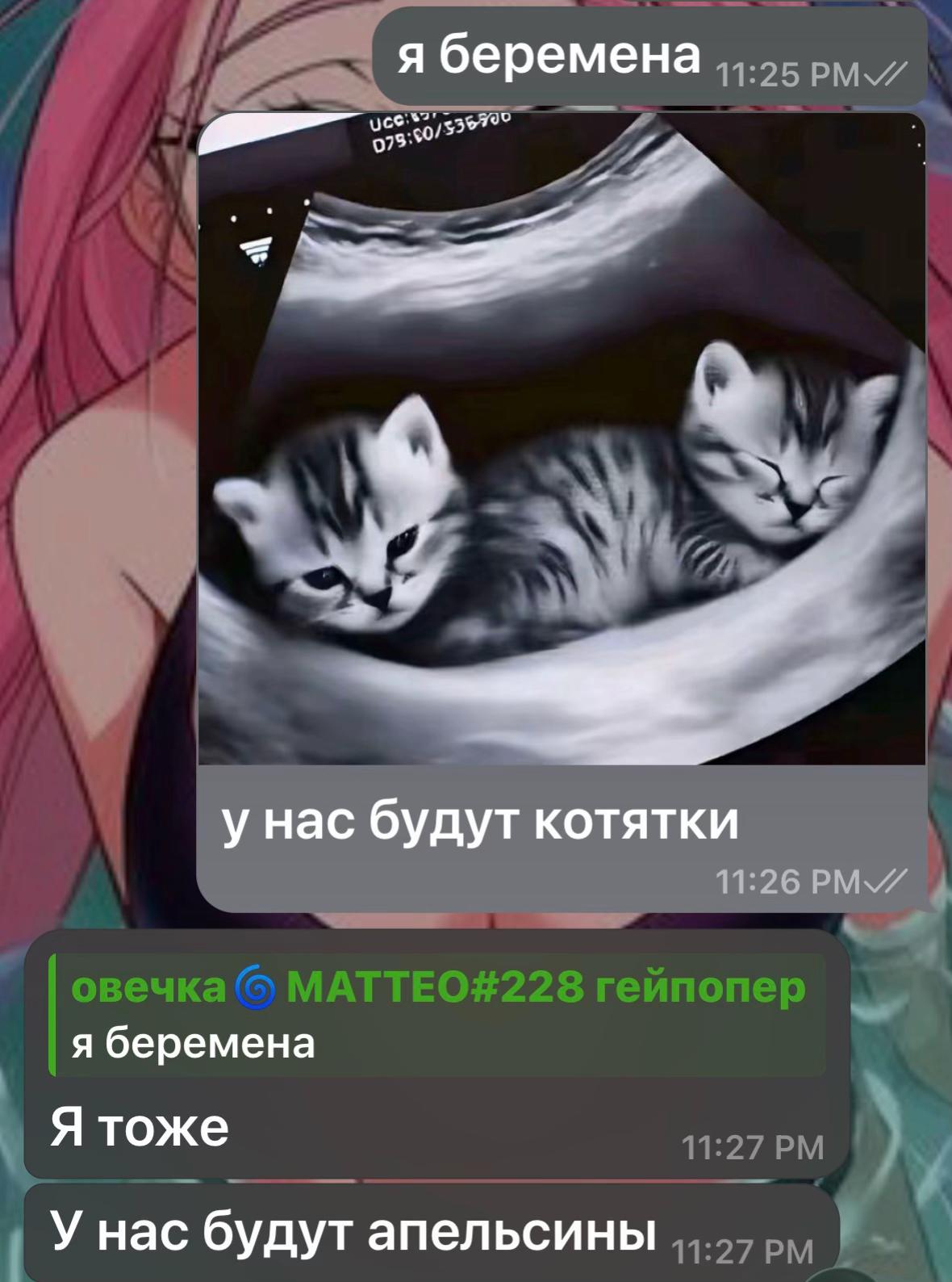 @овечка🪽