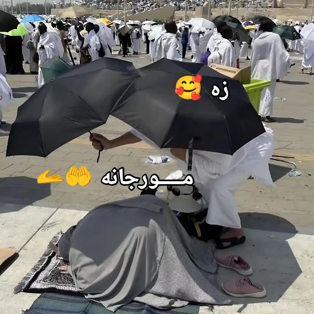 @☝️🕋 Naveed Islamic World 🕋☝️