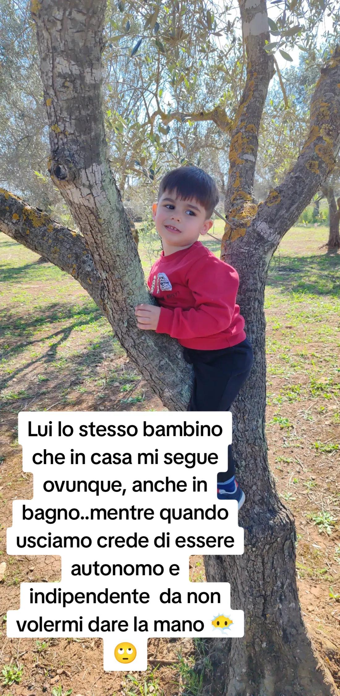 @Chiara Mele
