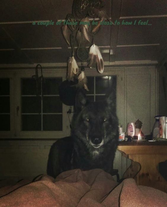 @[        ]