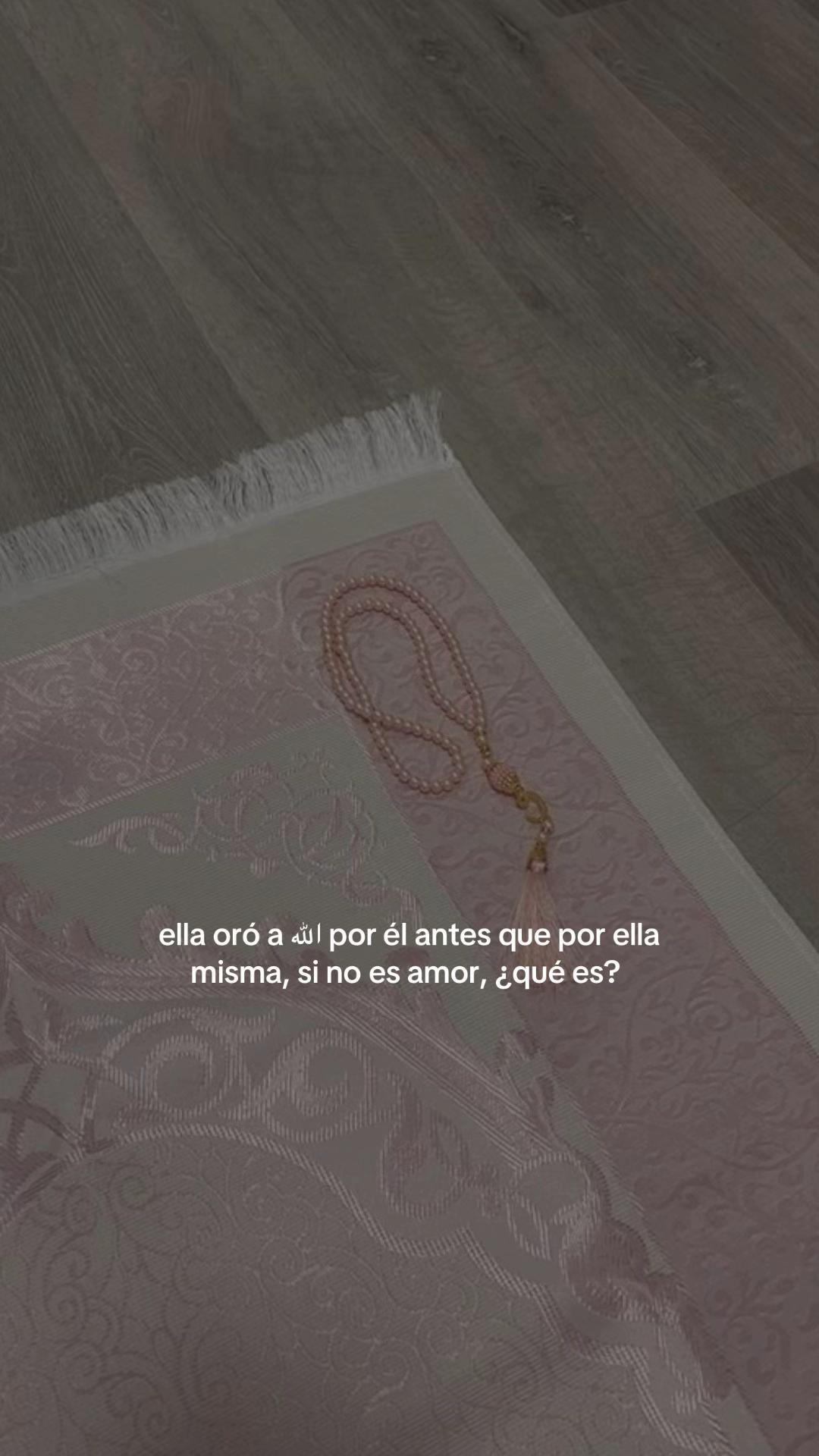@nohaaelg