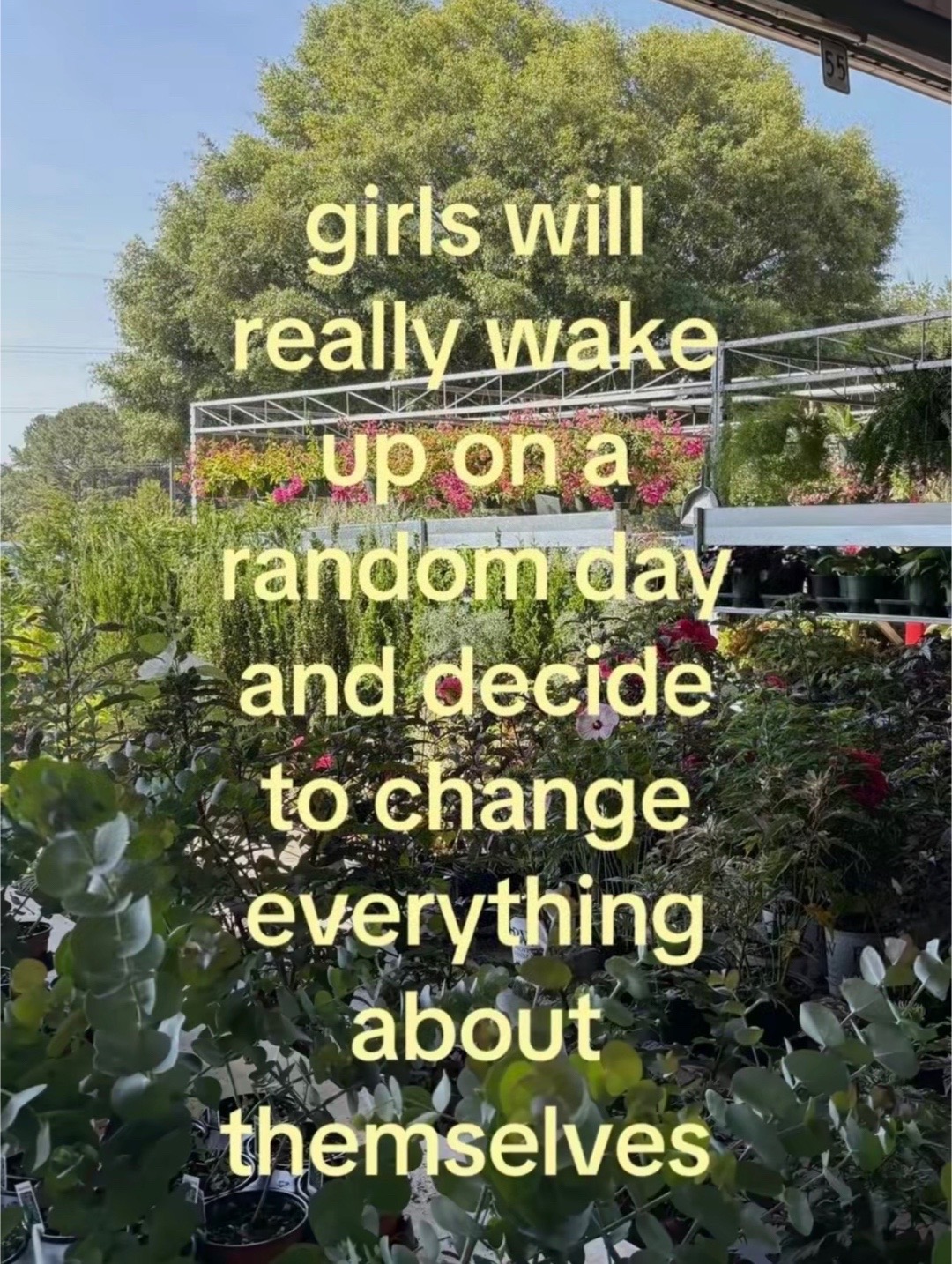 @onlygirlntheworld