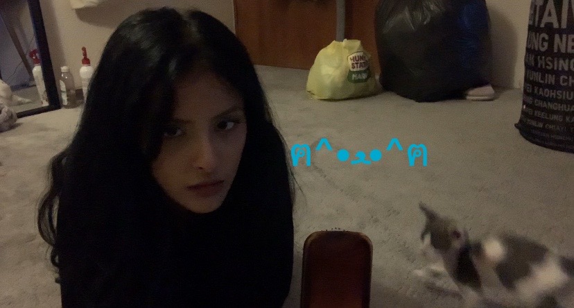 @crow_8