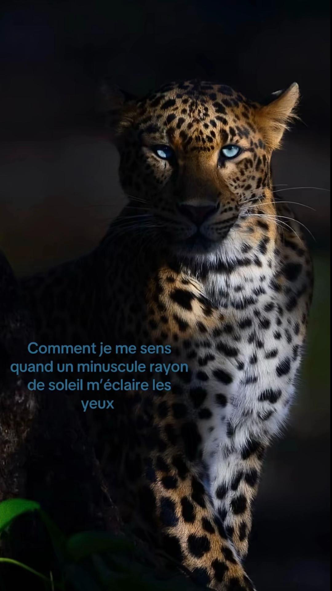 @la_rouquine905