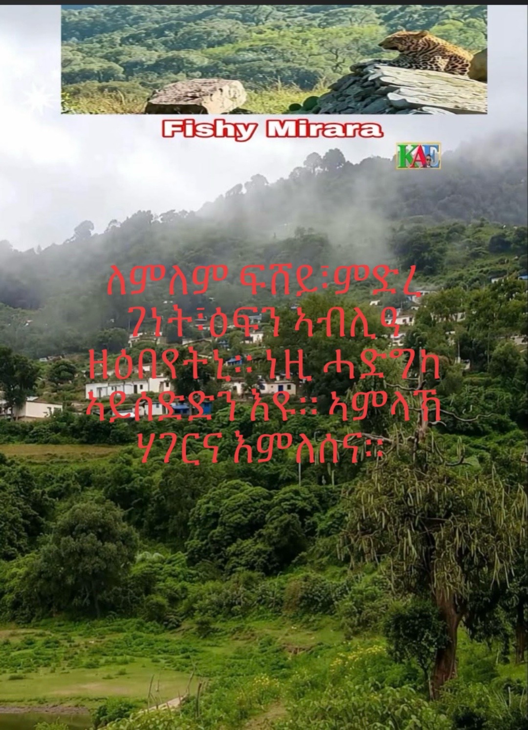 @ዉላድ ወዲ ሓምቢር