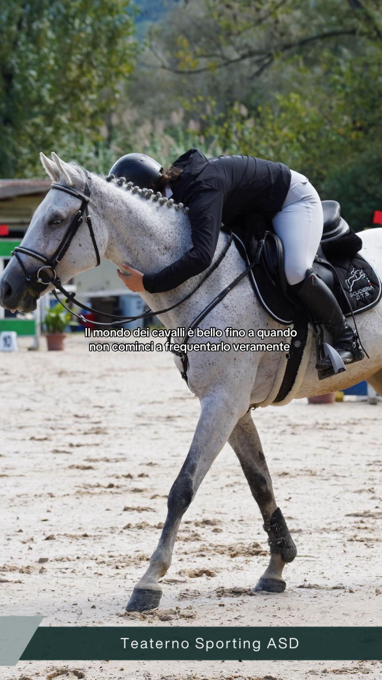@equestrian_ale