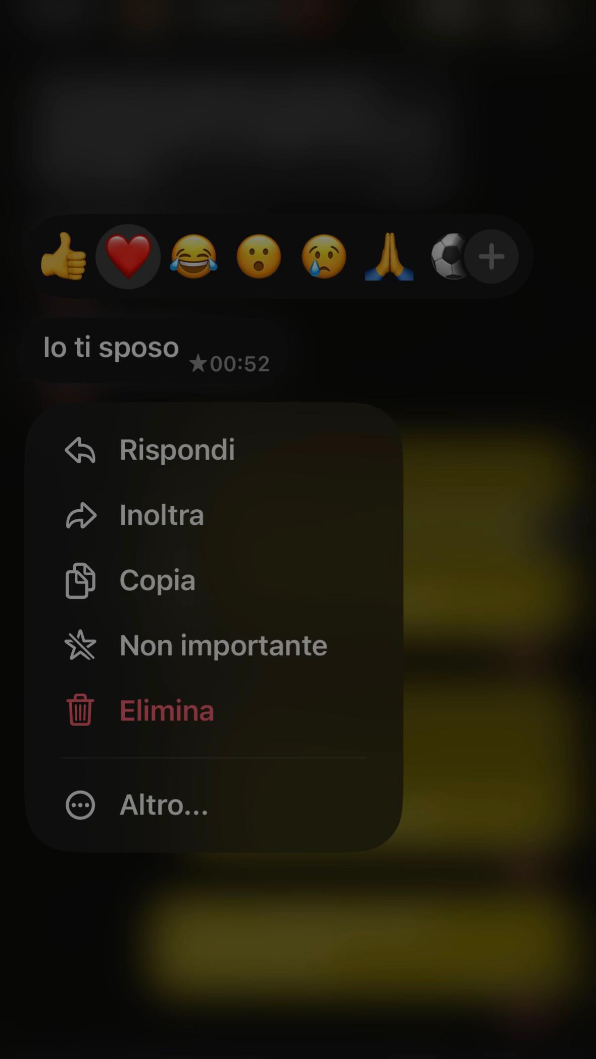 @sofiaa.cappellettiii