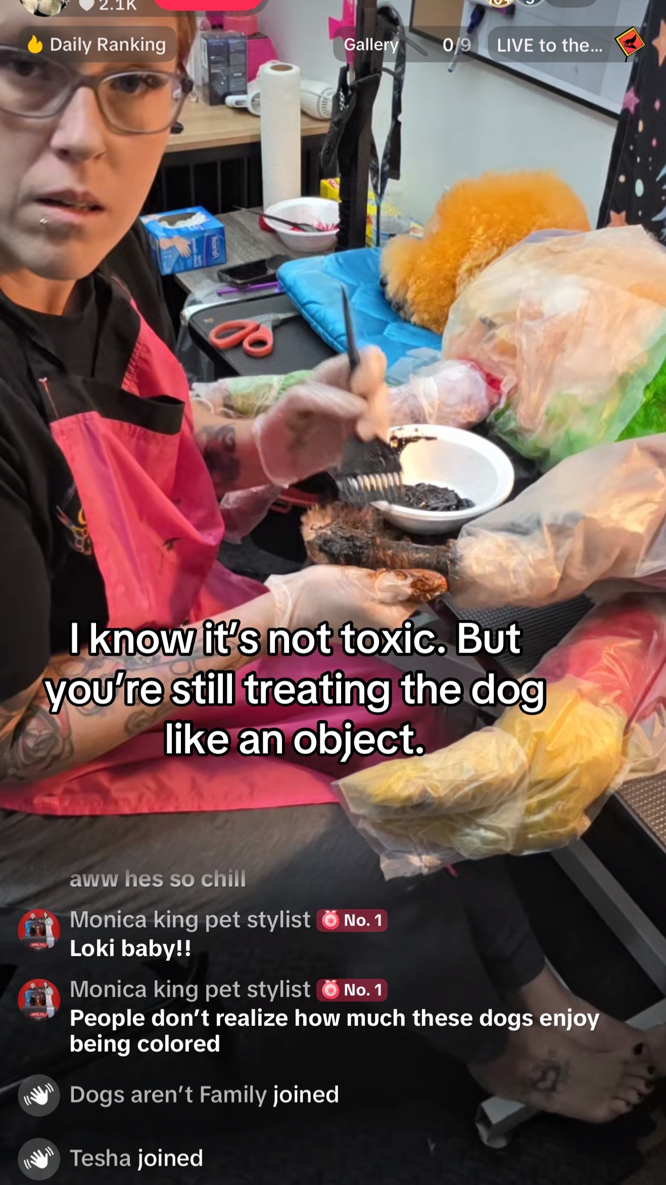 @Dogs aren&rsquo;t Family
