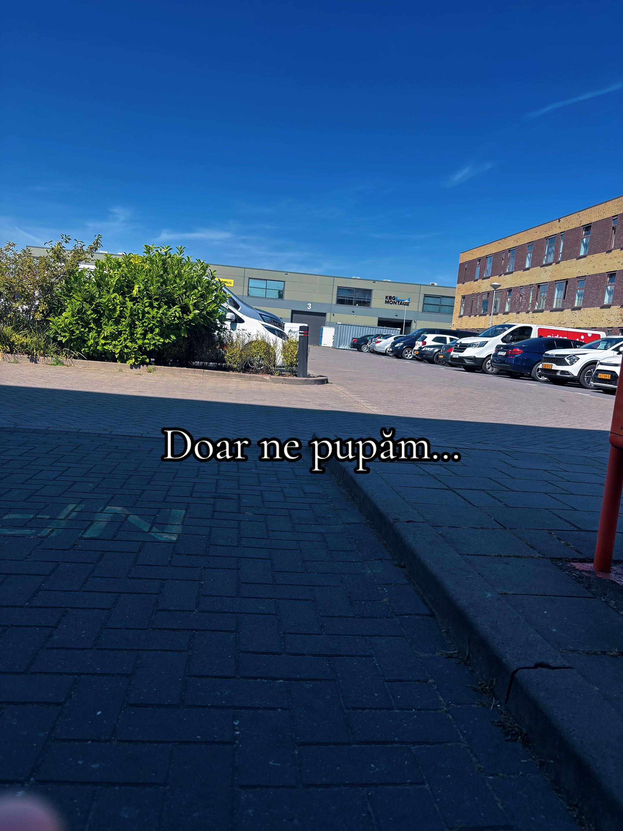 @𝒟𝒶𝓋𝒾𝒹 𝒰𝓃𝑔𝓊𝓇𝑒𝒶𝓃𝓊