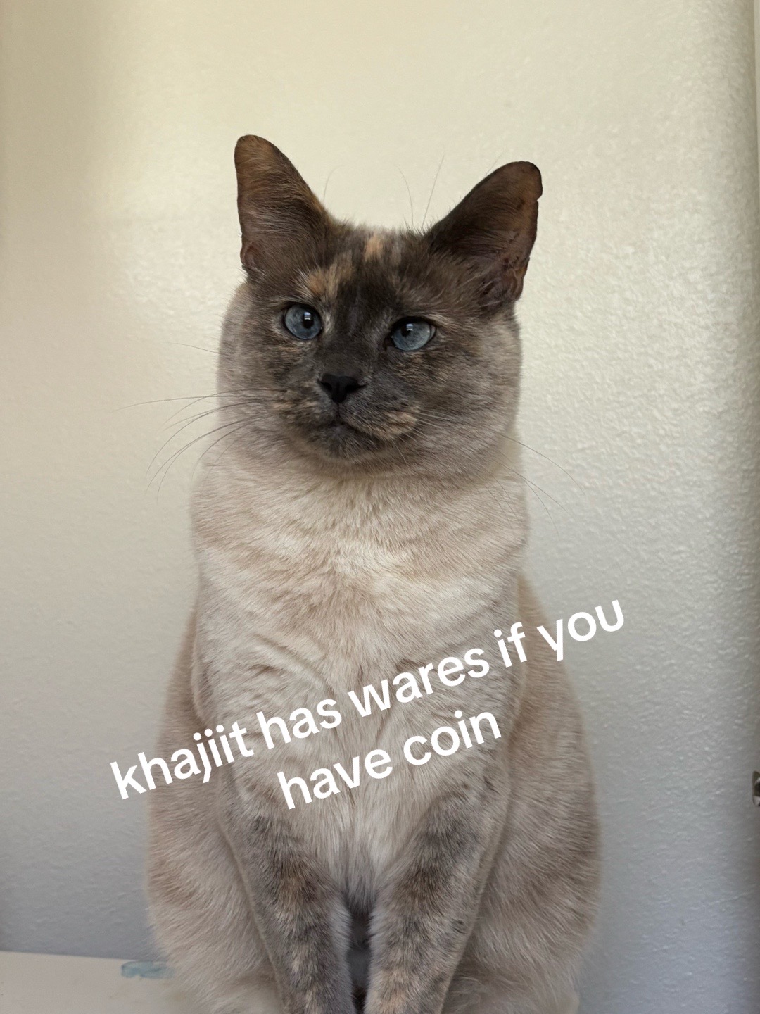 @Crimson 🩸