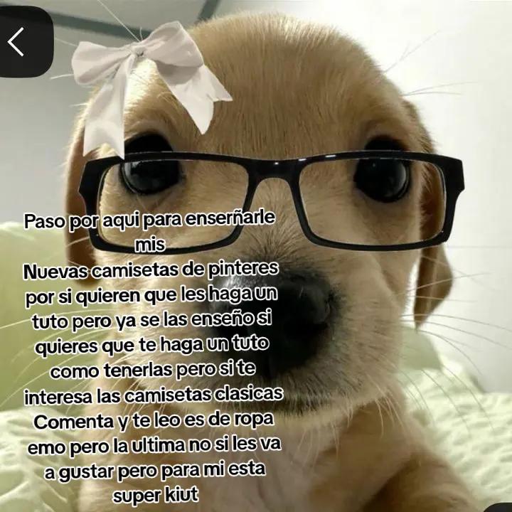 @💔Dachel🦭🍄