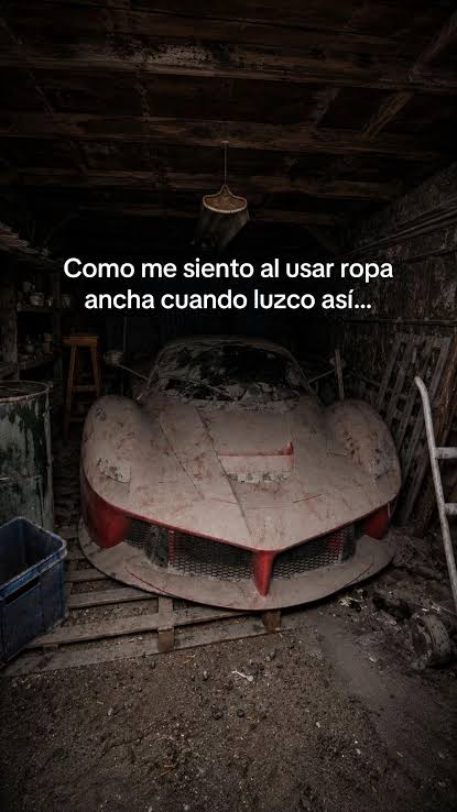 @sebas_fit_martinez