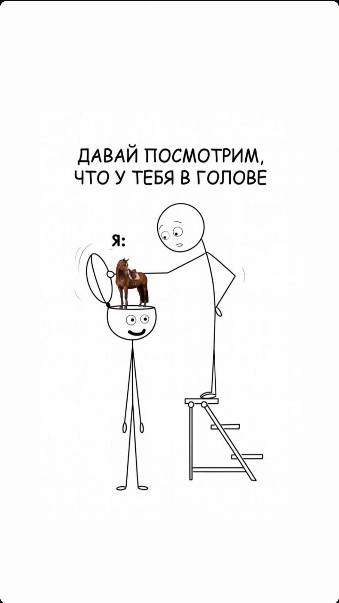 @akshatau_horses
