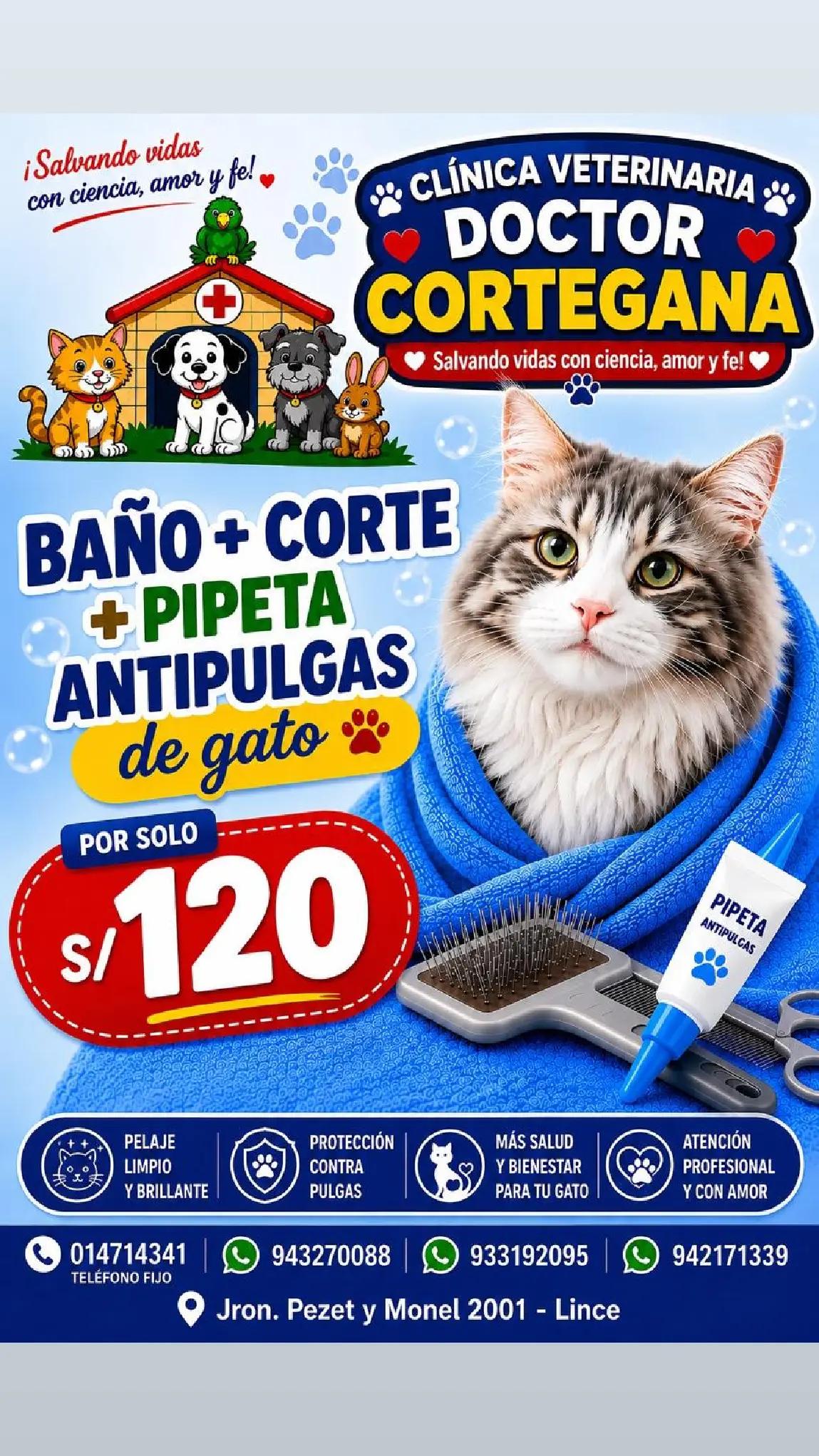 @VETERINARIA DR. CORTEGANA
