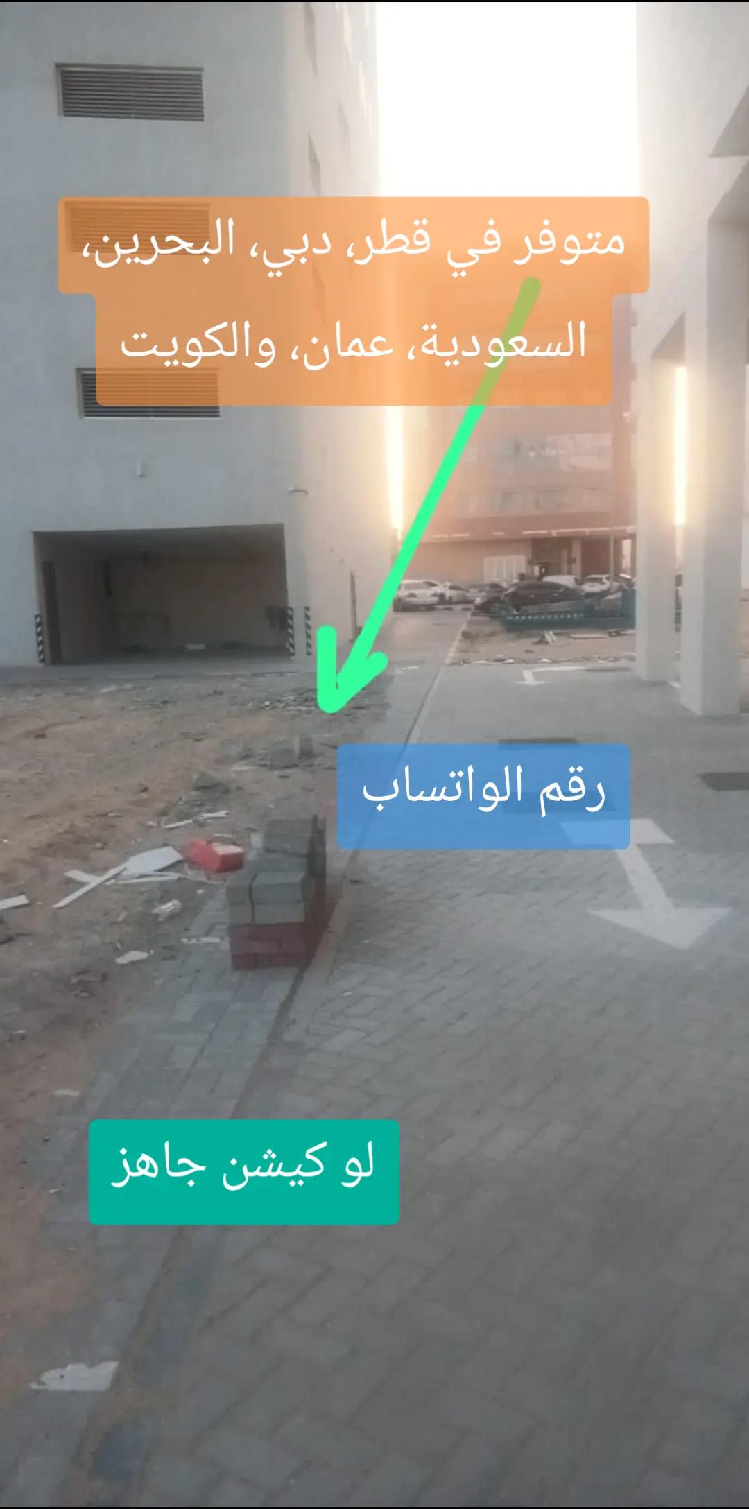 @محمد قاسم