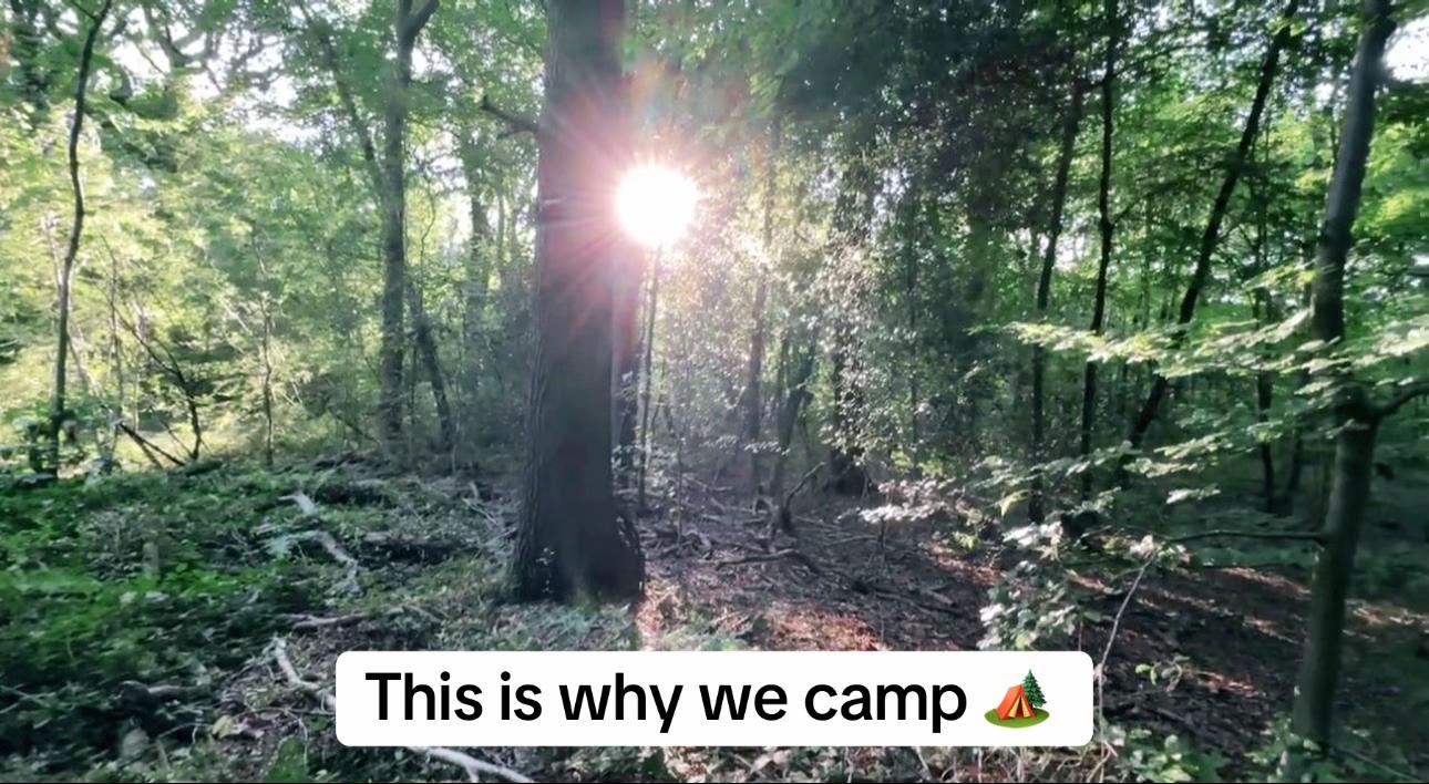 @Camp Theory
