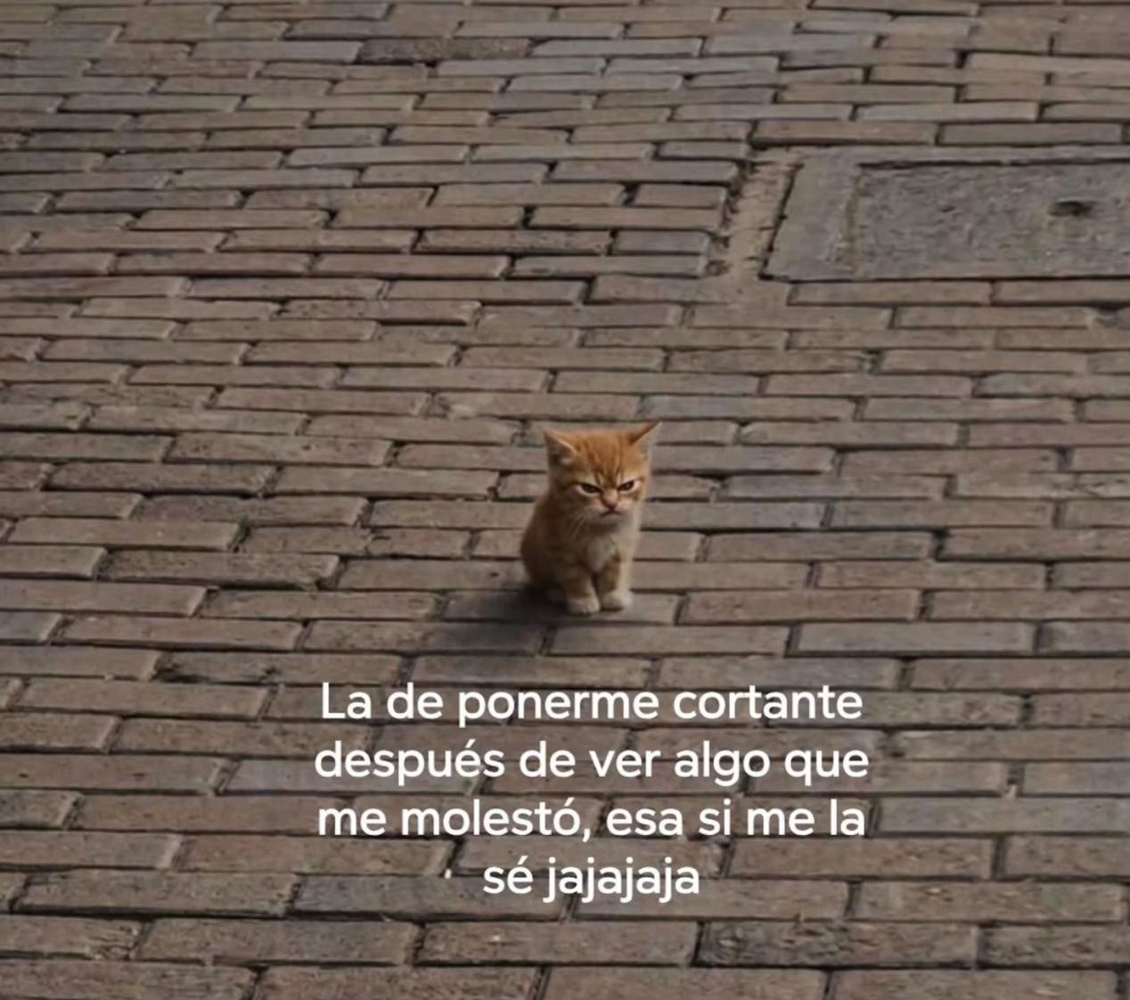 @Crayoli R
