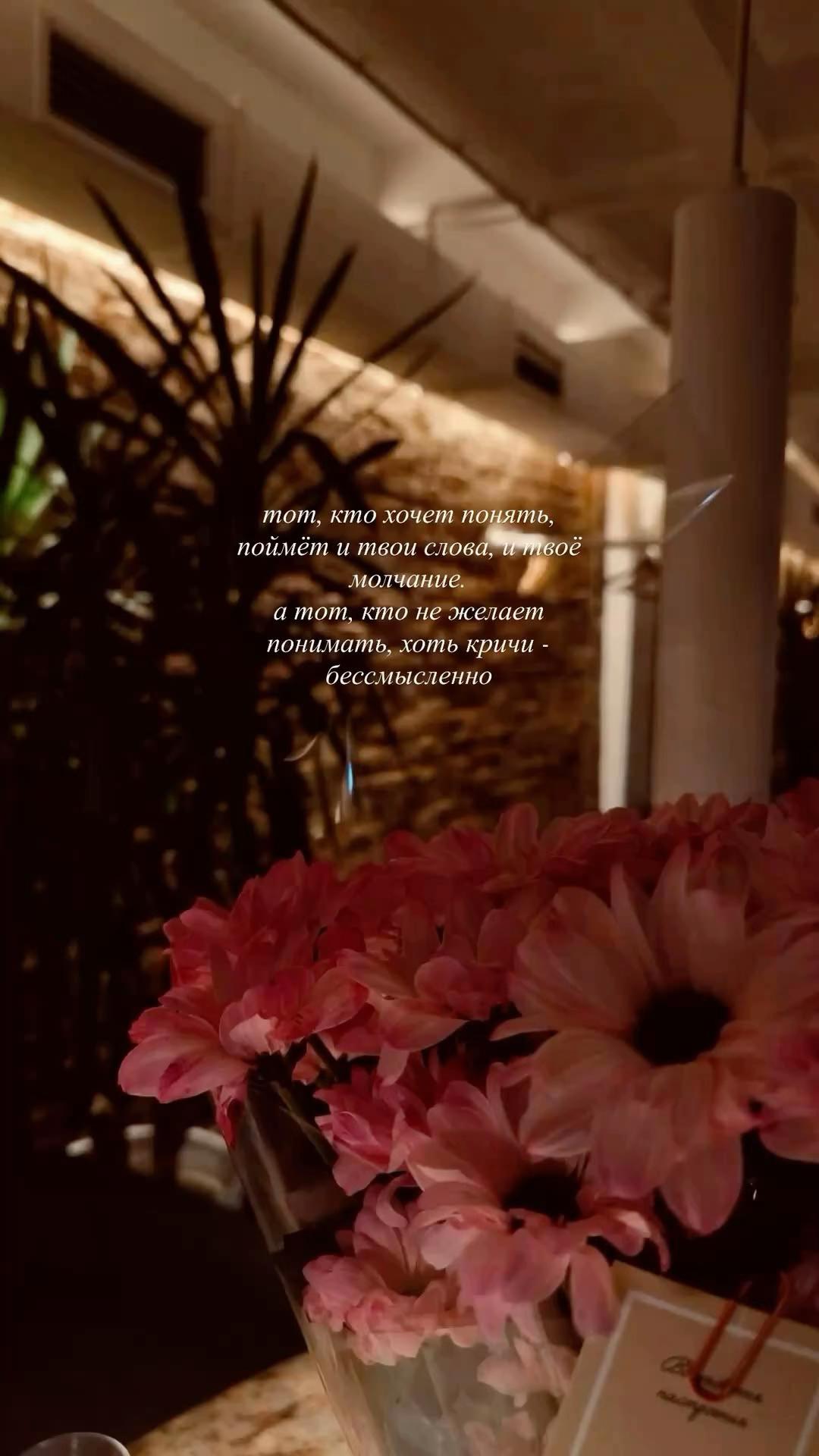 @𝘵𝘨𝘬.𝘥𝘢𝘳𝘨𝘪𝘯𝘴𝘬𝘢𝘺𝘢✪