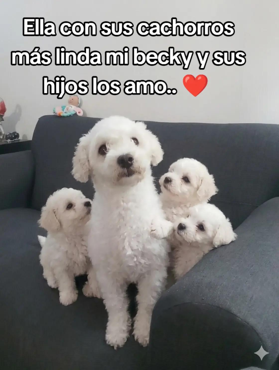 @Alexander Lima 🇺🇾🫂