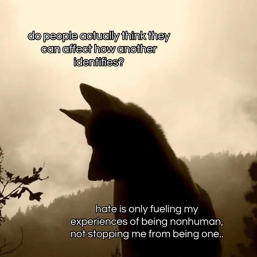 @⋮ ✩ 𝘭𝘺𝘬𝘰𝘴ˏˏ𓄀
