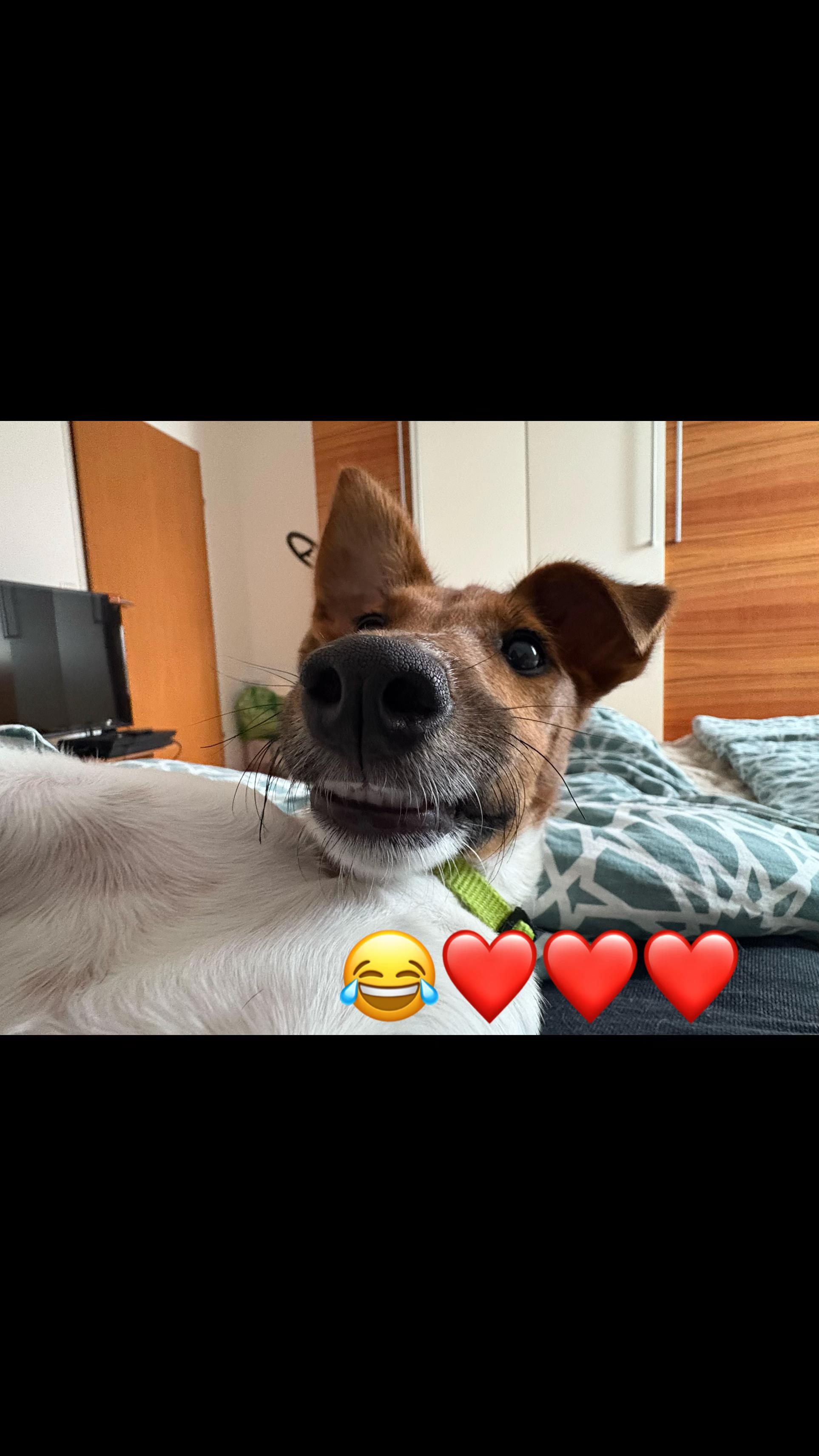 @Emicshuj