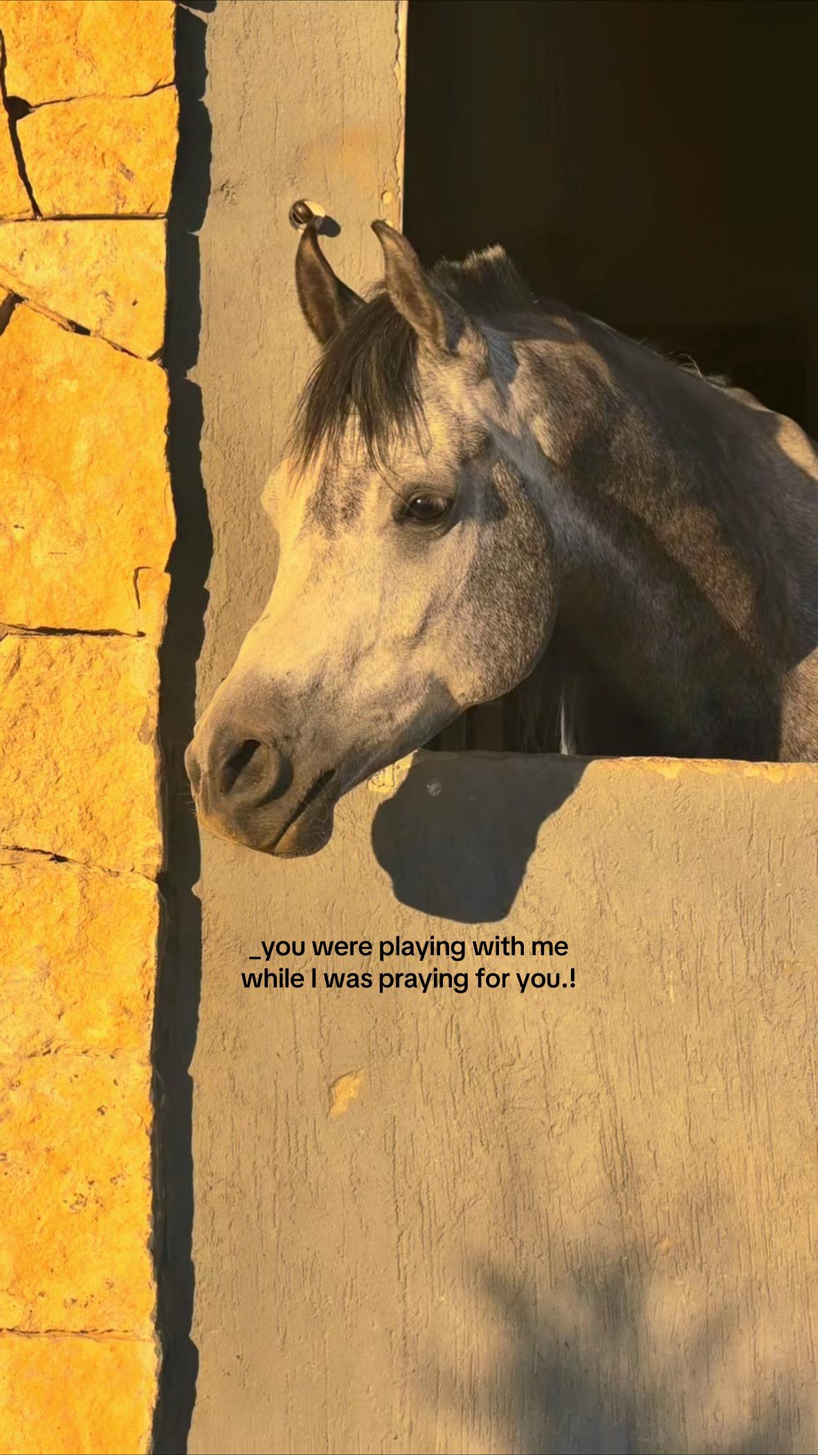 @۵ب🚩۰